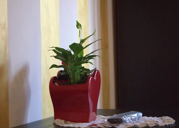 B&B Fiumicinoa57 피우미치노